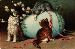 PC CATS, 3 CATS PLAYING WITH AN EGG, EASTER, Vintage EMBOSSED Postcard (b46582) - Cats
