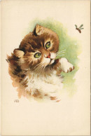 PC CAT, CAT LOOKING AN INSECT, (b25047) - Cats