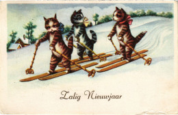 CPA Zalig Nieuwjaar CATS (1340961) - Cats