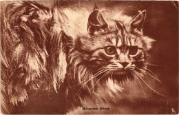 CPA Monsieur Minet CATS (1341014) - Cats