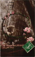 CPA Je Pense A Vous CATS (1340450) - Cats