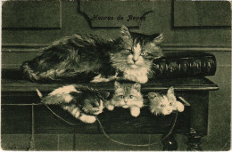 CPA Heures De Repos CATS (1341221) - Cats