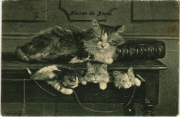 CPA Heures De Repos CATS (1341140) - Cats