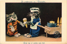 CPA Geef My Er Eentje Van Tien CATS (1341259) - Cats