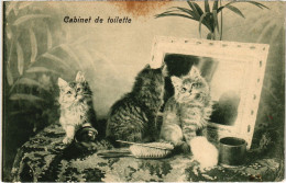 CPA Cabinet De Toilette CATS (1340917) - Cats