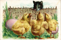 CPA CATS (1341406) - Cats