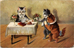 CPA CATS (1341398) - Cats