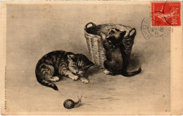 CPA CATS (1341416) - Cats