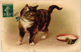 CPA CATS (1341368) - Cats