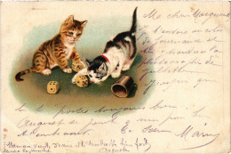 CPA CATS (1341366) - Cats