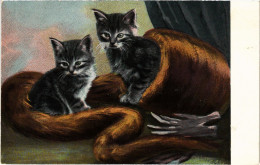 CPA CATS (1341364) - Cats