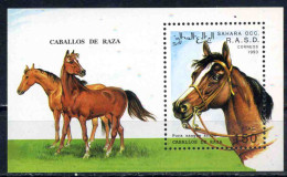 RASD - Sahara Occ. 1993  Caballos De Raza  Hoja Bloque - Autres - Afrique