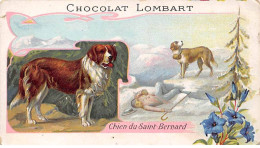 Chromos.AM13636.Lombart.11x6 Cm Environ.Chien Du Saint-Bernard - Lombart