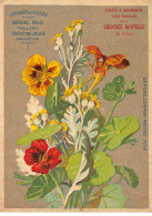Chromos.AM16670.10x14 Cm Environ.Chicorée Nouvelle.Casiez Et Bourgeois.Langage Des Fleurs.Capucine Rouge Et Jaune - Tè & Caffè