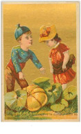 CHROMOS.n°122.CANON-QUENARDEL.EPICERIE.QUEL EST LE FRUIT QUI..........FONDS DORE - Tè & Caffè