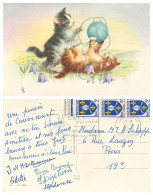 Illustration - 2 Petits Chatons Jouant Avec Une Pelote De Laine - Cats