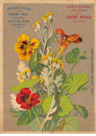 Chromos.AM16671.10x14 Cm Environ.Chicorée Nouvelle.Casiez Et Bourgeois.Langage Des Fleurs.Capucine Rouge Et Jaune - Tee & Kaffee