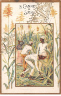 Chromos -COR12186 - Au Bonheur Des Dames - La Canne à Sucre - Hommes - Récoltes - 7x11cm Env. - Andere & Zonder Classificatie