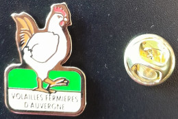 PIN'S - VOLAILLES FERMIERES D'AUVERGNE - Poule - Animaux