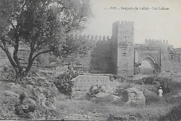 CPA - MAROC - FEZ - REMPARTS DU MELLAH ET PORTE BAB LAMER (12-01-1916) - Fez