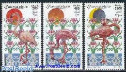 Somalia 1998 Flamingoes 3v, Mint NH, Nature - Birds - Flamingo - Somalie (1960-...)