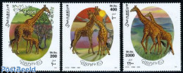 Somalia 2000 Giraffes 3v, Mint NH, Nature - Animals (others & Mixed) - Giraffe - Somalie (1960-...)