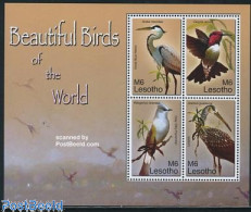 Lesotho 2007 Beautiful Birds 4v M/s, Mint NH, Nature - Birds - Lesotho (1966-...)