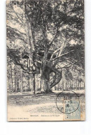 BERNAY - Robinson De Saint Léger - Très Bon état - Bernay