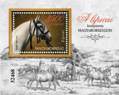 Hungary - 2024 - Tradition Of Lipizzan Horse Breeding In Hungary - Mint Souvenir Sheet (standard, Black Number) - Neufs