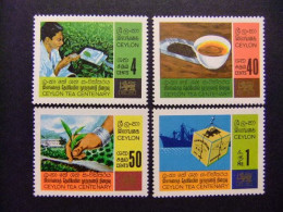 40 CEYLAN CEYLON ( Sri Lanka )1967 / LA CULTURA DEL TÉ / YVERT 377 / 380 MNH - Sri Lanka (Ceylan) (1948-...)