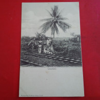 COCOTERO - Guatemala