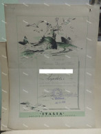 Diploma Umoristica Nave Ship Crociera? A. USODIMARE Societa Di Navigazione Genova Italia Agosto 1951 - Diploma & School Reports