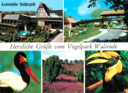 Walsrode Lueneburger Heide Vogelpark Luisenhoehe Heidjergrill - Walsrode