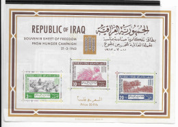 Iraq Sheet Mnh ** 8 Euros 1963 - Jordanie