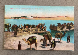 Kantara Camels Passing The Suez Canal Carte Postale Postcard - Suez