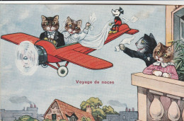 Mickey Sur Un Avion Avec Des Chats - Sonstige & Ohne Zuordnung