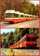 ** CARTES  TRAMWAYS  ZURICH  1 ** - Tram