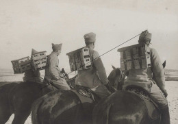 France14-18  Compiègne. Service Colombophile Cavaliers Porteurs De Paniers à Pigeons 28 Fevrier 1917 - 1914-18