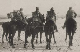 France14-18  Compiègne. Service Colombophile Cavaliers Porteurs De Paniers à Pigeons 28 Fevrier 1917 - 1914-18