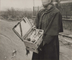France14-18  Compiègne. Service Colombophile Panier Pour Deux Pigeons 28 Fevrier 1917 - 1914-18