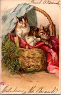 (29/04/25) THEME ANIMAUX-CPA CHAT - CHATS - Cats