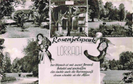 LoeRRACH Baden BW Rosenfelspark Palmengarten Partie Mit Bananen Parkanlagen - Lörrach