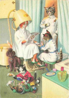 Katzen Friseur Schminken Hund Belgium - Cats