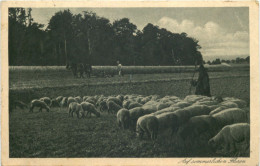 Schäfer - Bahnpost Hagen - Dieringhausen - Sonstige & Ohne Zuordnung