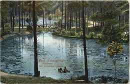 Bad Lippspringe - Waldseen Mit Gondesen Quelle - Bad Lippspringe