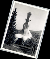 Dornach SO Dornach Goetheanum - Sonstige & Ohne Zuordnung