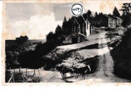 Chiny Chapelle N D - Chiny