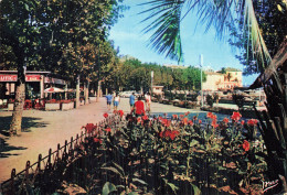 83 SAINTE MAXIME LA PROMENADE - Sainte-Maxime