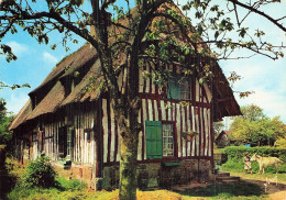 61 FLERS CHAUMIERES NORMANDES - Flers