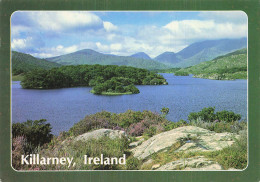 IRLANDE KILLARNEY LES LACS ET COLLINES DE KILLARNEY - Sonstige & Ohne Zuordnung